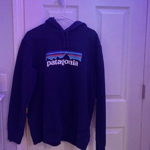 Mens patagonia hoodie